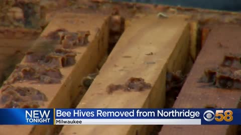 Beehives at site of Northridge Mall will be relocated to farm...